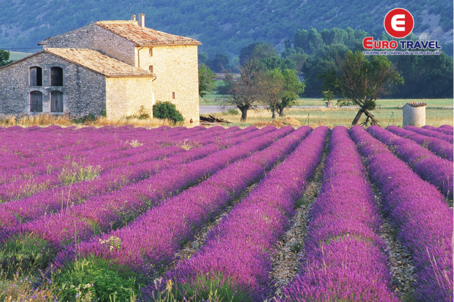 Khí hậu tại Provence Pháp