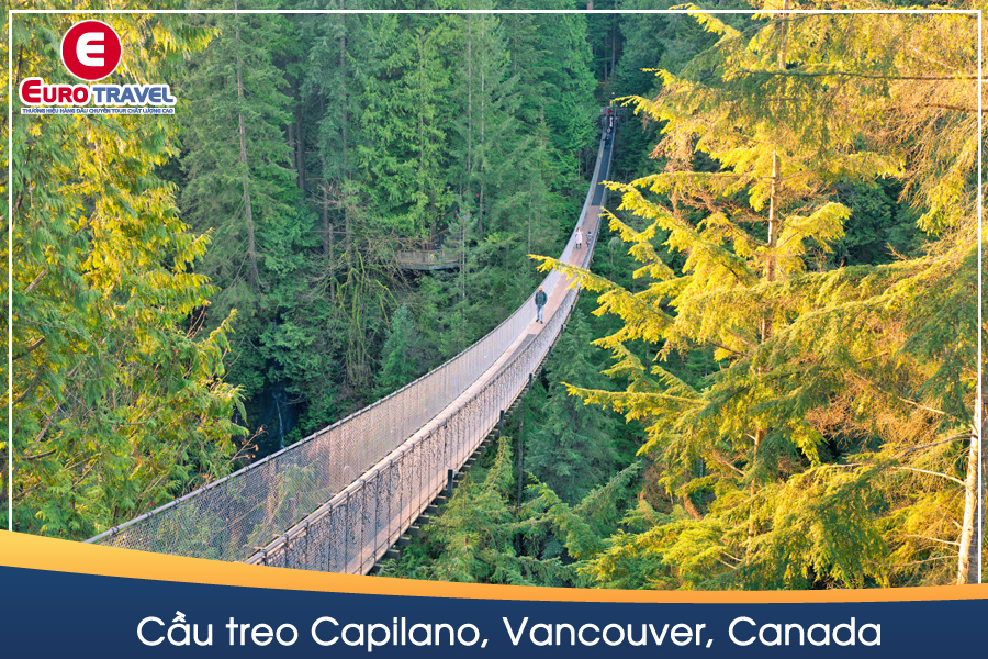 Cầu treo Capilano