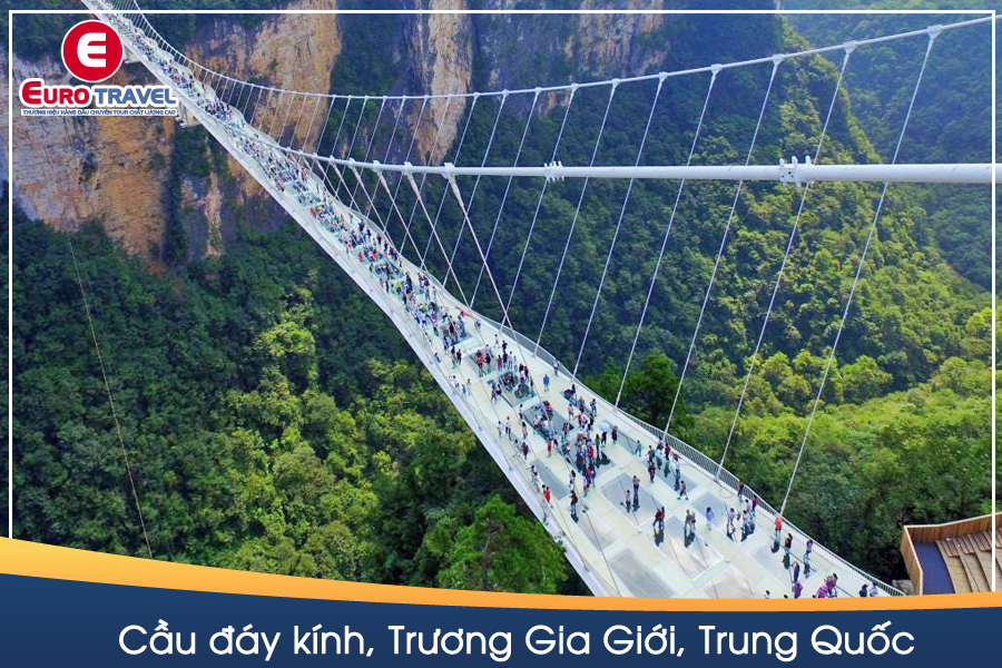 Cầu đáy kính tại Vườn quốc gia Trương Gia Giới