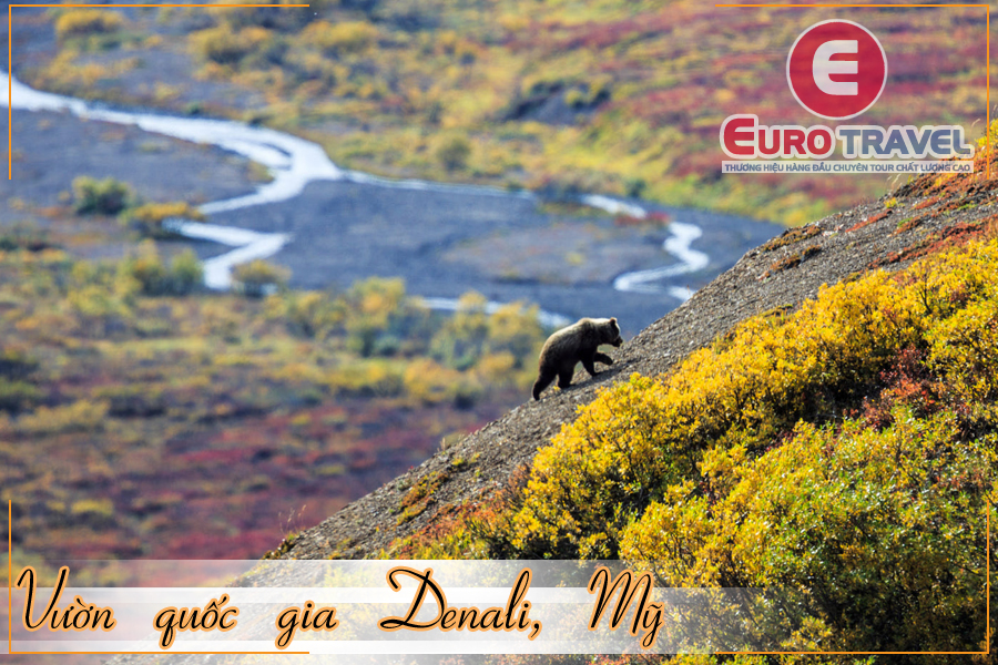 Điểm du lịch Mùa Thu - Vườn quốc gia Denali - Mỹ