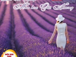 Du lịch Pháp mùa hoa Lavender 2019