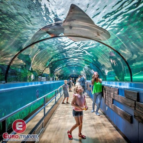 tour uc chat luong 2021 thuy cung sydney aquarium cong ty euro travel 600x600 1