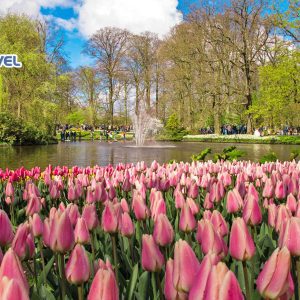 Tour du lịch Châu Âu 2022 lễ hội hoa Keukenhof