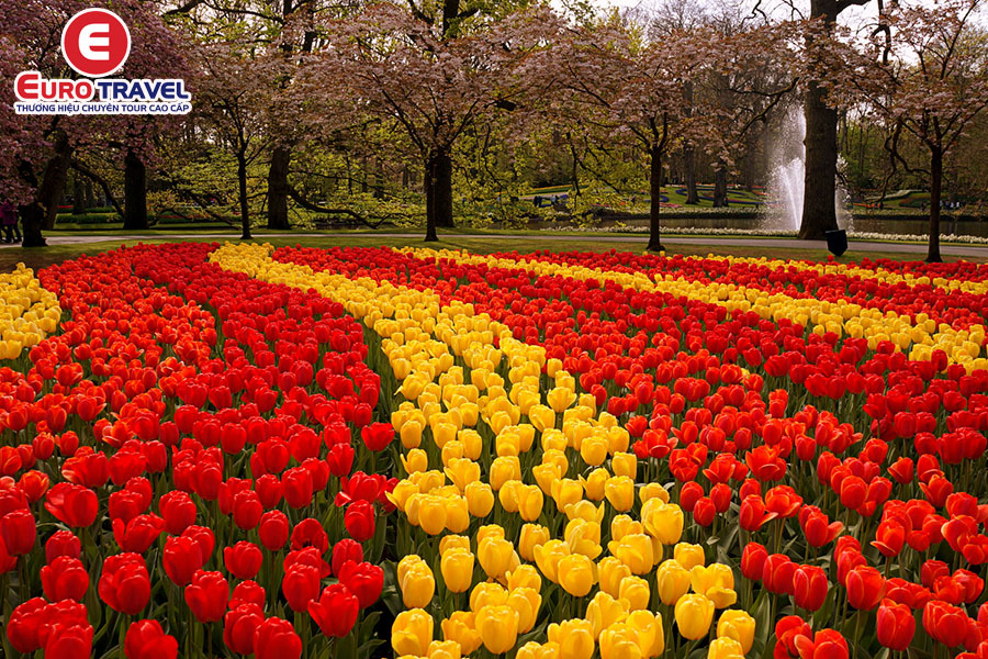 Đến Hà Lan khám phá vườn hoa Keukenhof