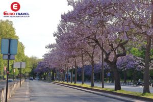 Nên đi Paris mùa nào
