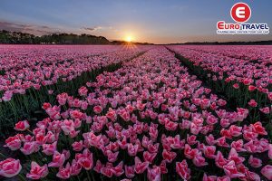 Cẩm nang du lịch Hà Lan