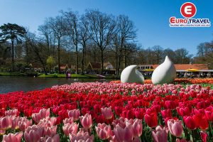 Cẩm nang du lịch Hà Lan tận hưởng vẻ đẹp Keukenhofv