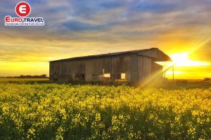 Cẩm nang du lịch Úc mùa xuân