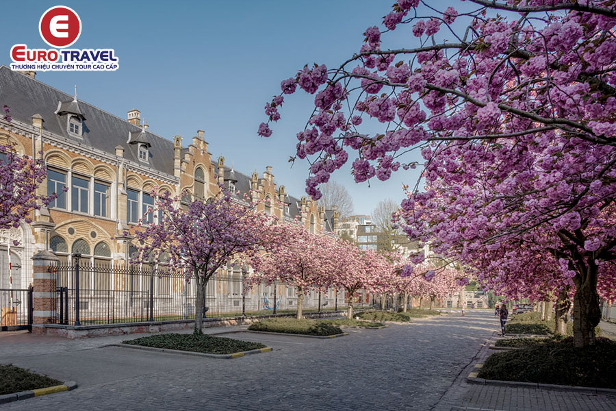 Điểm du lịch Bỉ tham quan thành phố Ghent