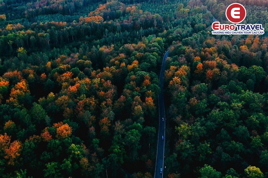 Khám phá vẻ đẹp bí ẩn tại Schwarzwald