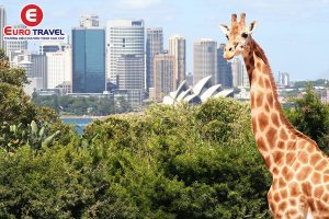 Tham quan sở thú Sydney tại Úc