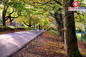 Cẩm nang du lịch Sydney mùa thu