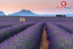 Cẩm nang du lịch miền Nam Pháp tham quan Provence