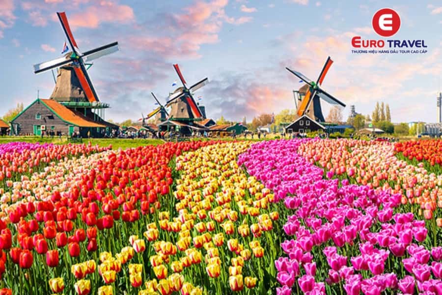 Lễ hội hoa Amsterdam ở Hà Lan