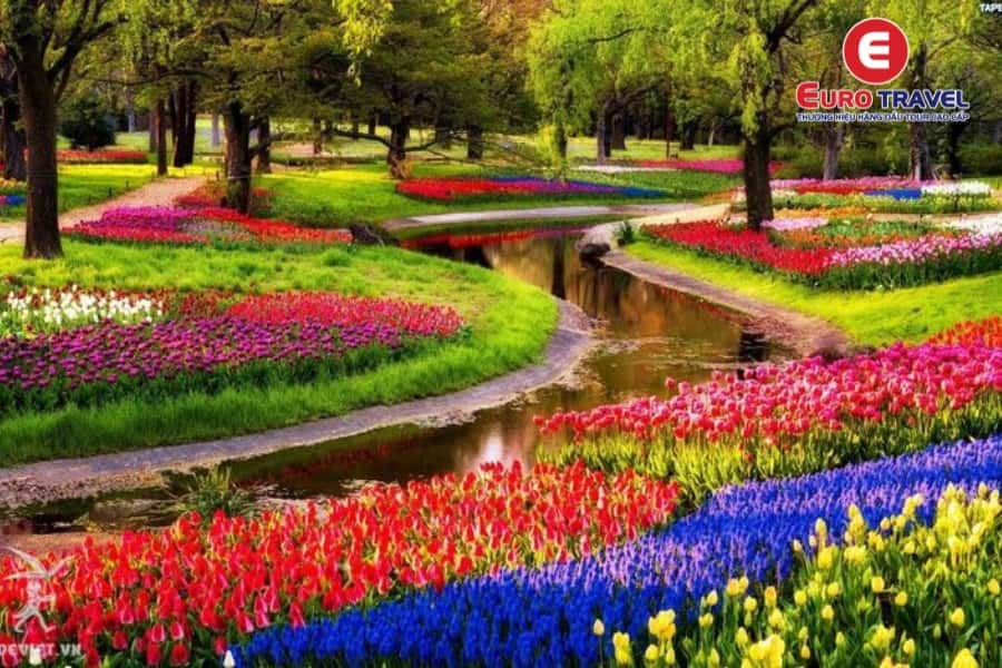 Lễ hội hoa tulip tại vườn Keukenhof - Hà Lan