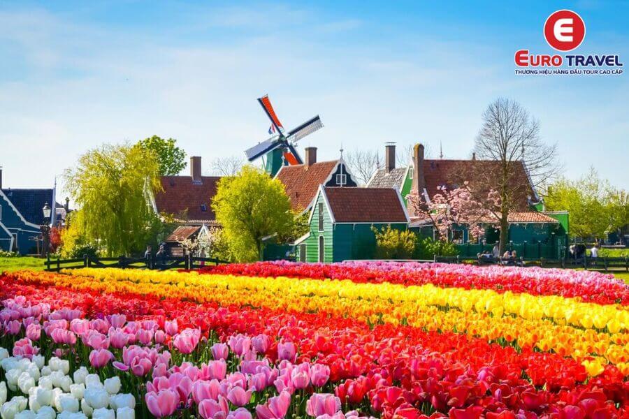 Kinh nghiệm du lịch Hà Lan dành cho du khách