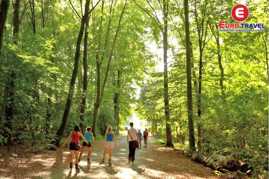 Eilenriede - Khu rừng nội thành lớn nhất Châu Âu