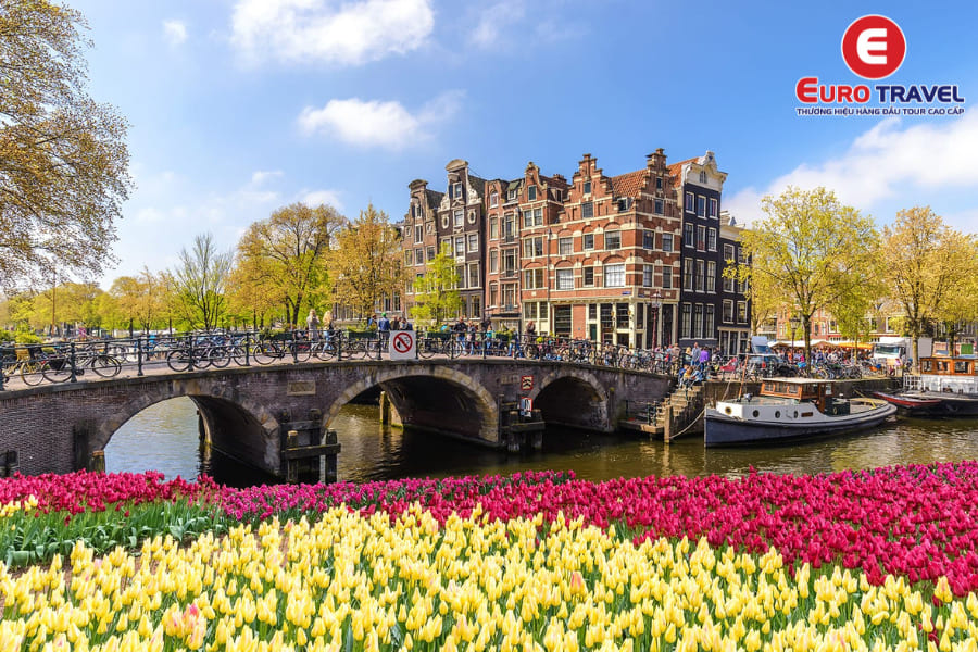 Thủ đô Amsterdam Hà Lan - Xứ sở của loài hoa Tulip