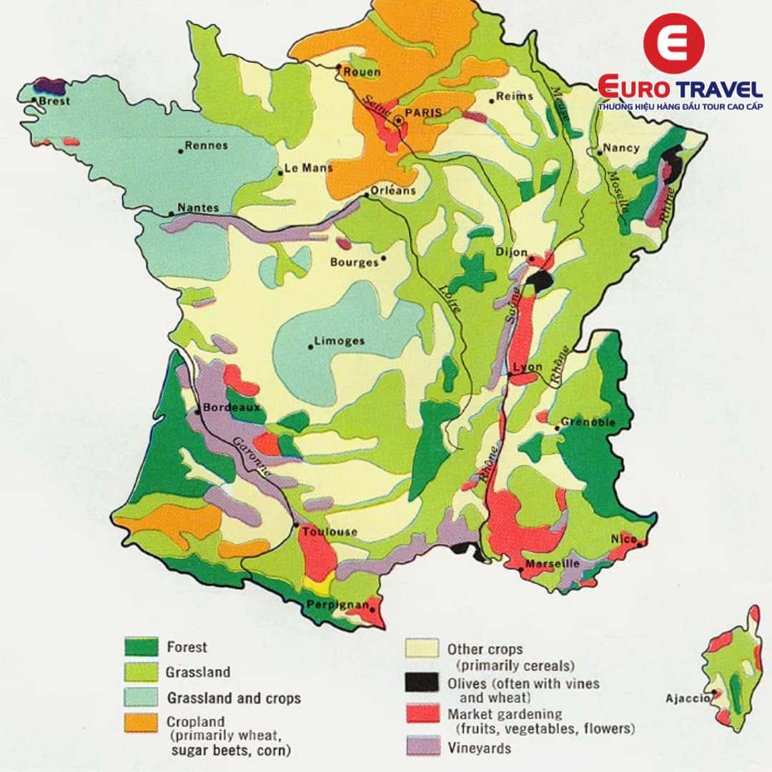 Bản đồ biểu hiện địa hình đa dạng của Pháp