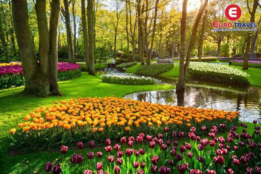 Vườn Hoa Keukenhof Hà Lan
