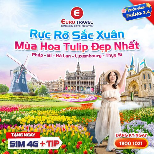 Tour Châu Âu 5 nước lễ hội hoa Tulip Keukenhof