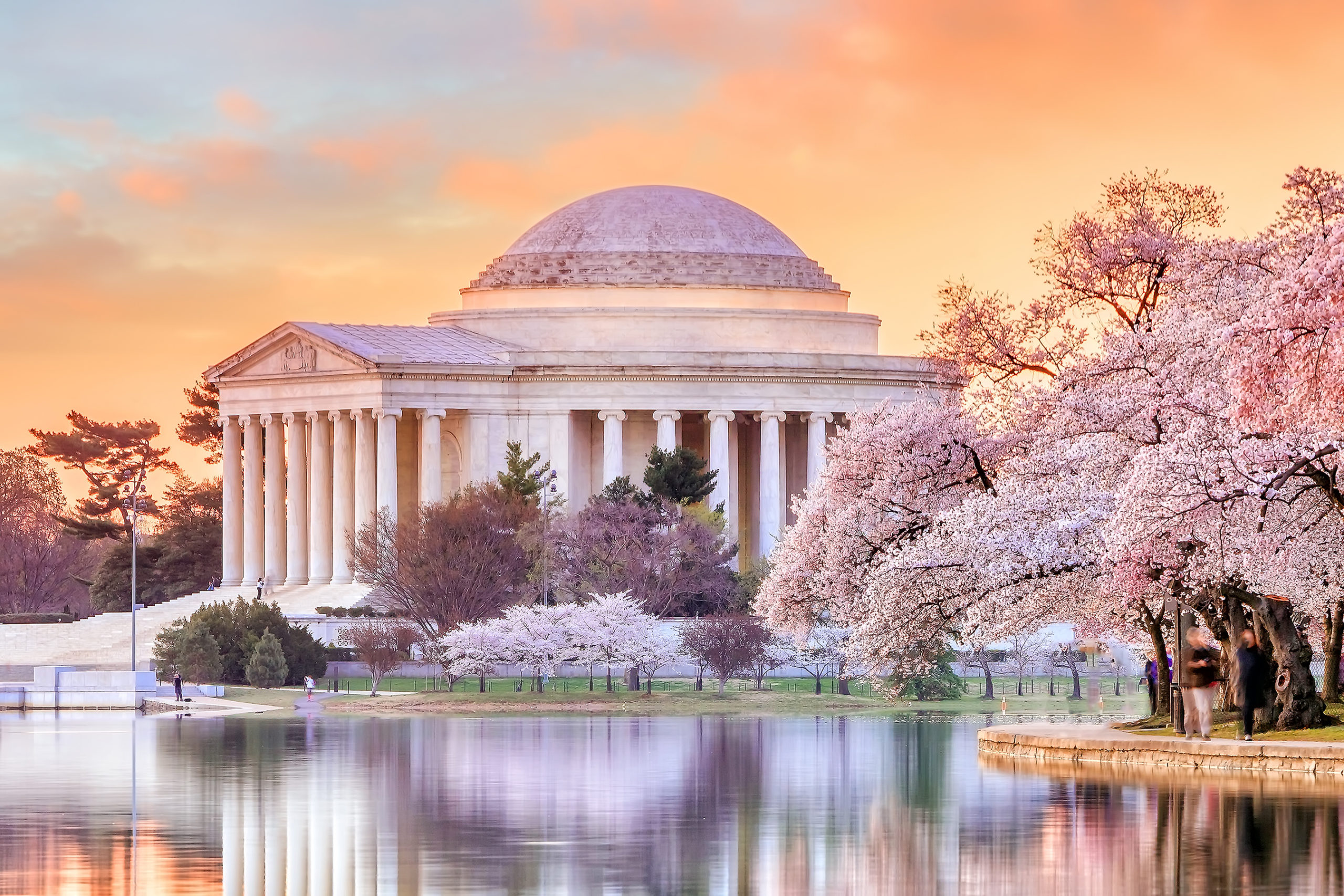 Lễ hội hoa anh đào ở Washington D.C