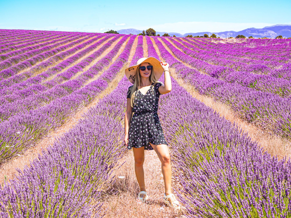 Provence vào mùa thu Châu Âu là sự kết hợp hoàn hảo giữa vẻ đẹp thiên nhiên và sự phong phú 