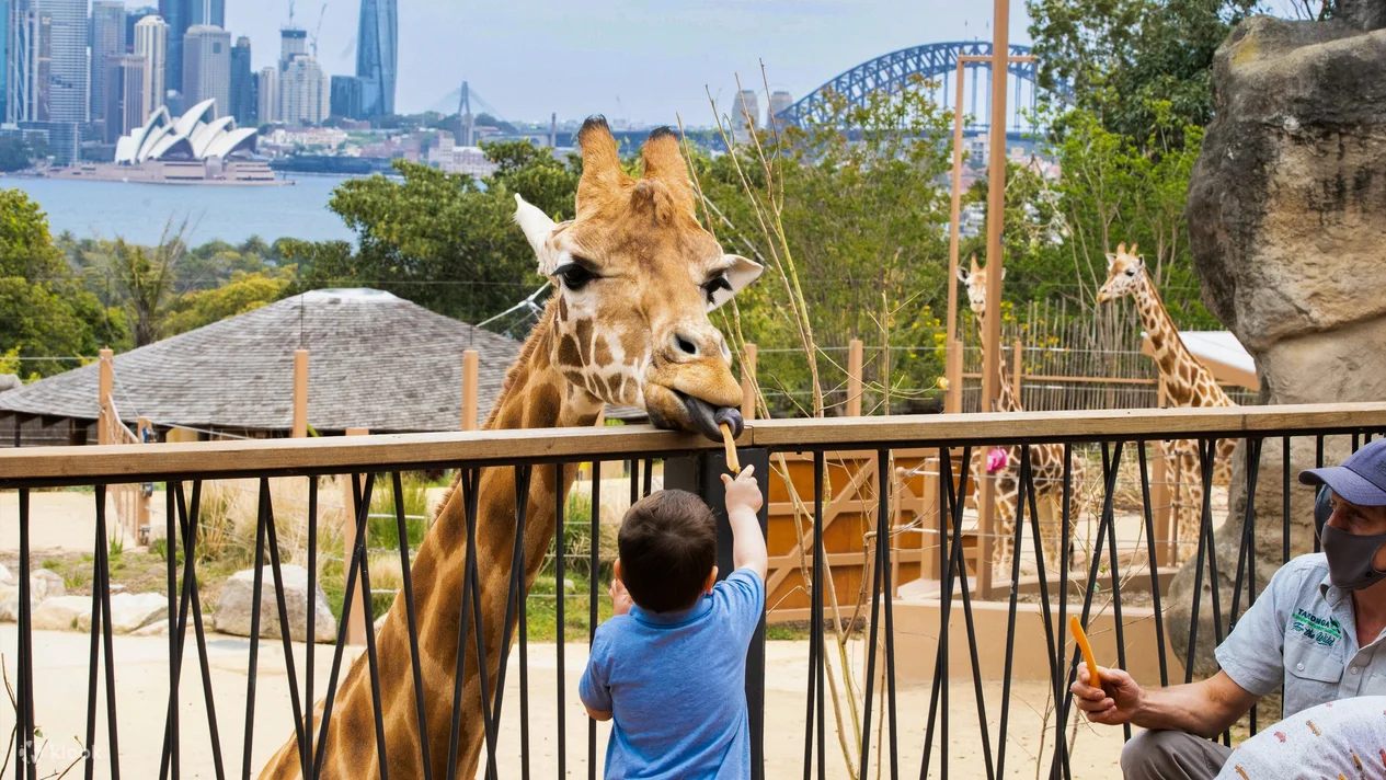 Sở thú Taronga Sydney chứa nhiều loại động vật thú vị