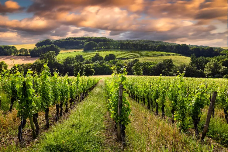 Các làng rượu vang Bordeaux, Pháp