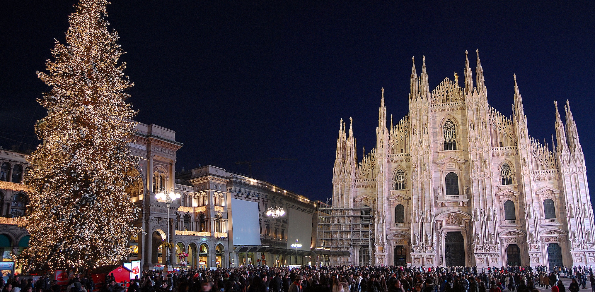 Cây thông khổng lồ tại Piazza del Duomo