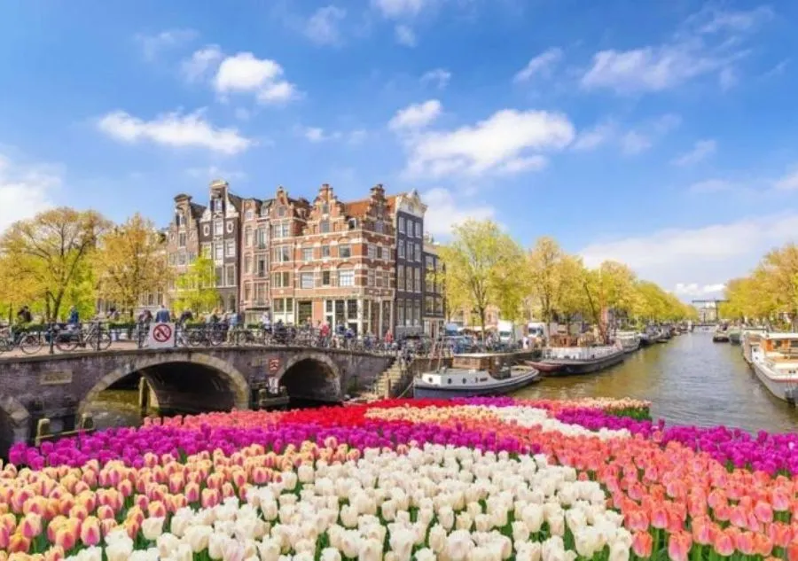 Thủ đô Amsterdam ( Hà Lan)- Thủ phủ của những cánh đồng hoa tulip.